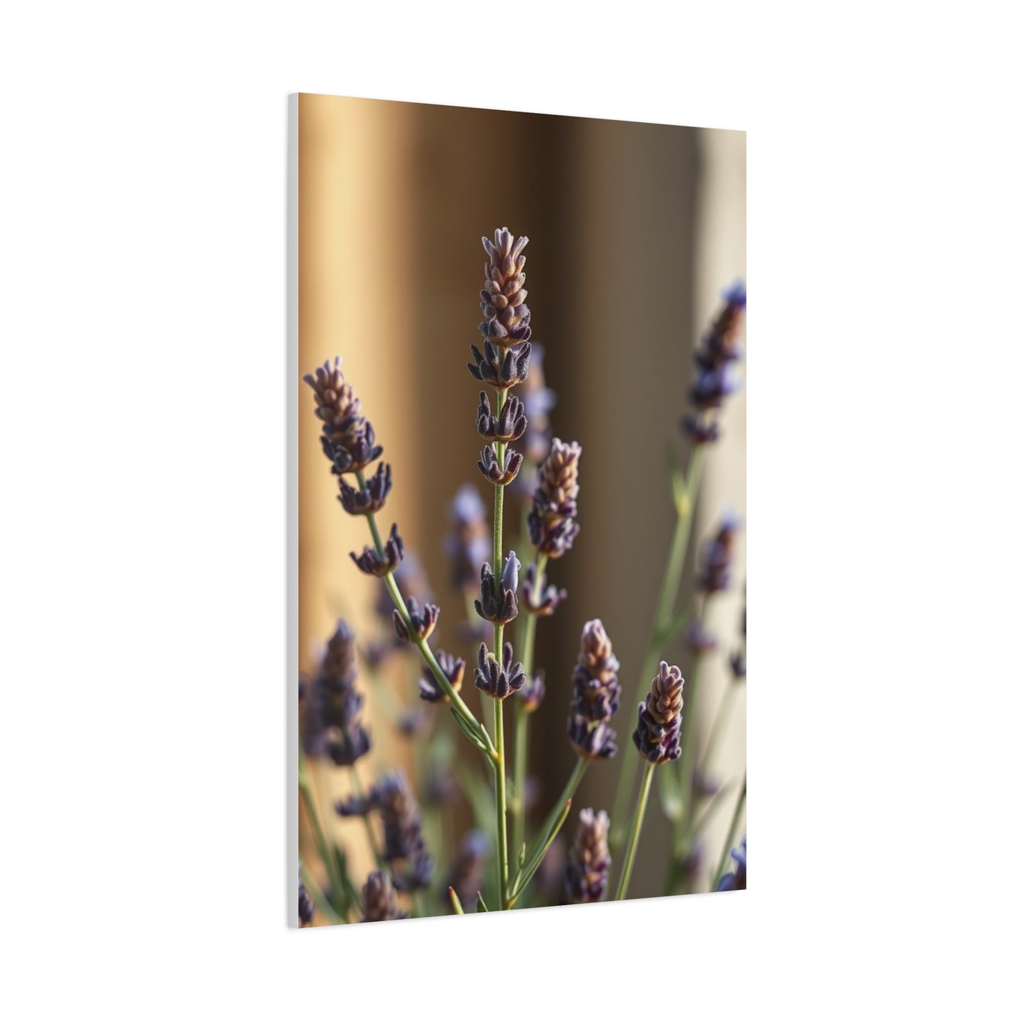 Lavender Herb Art Supreme Canvas Wall Art & Canvas Print