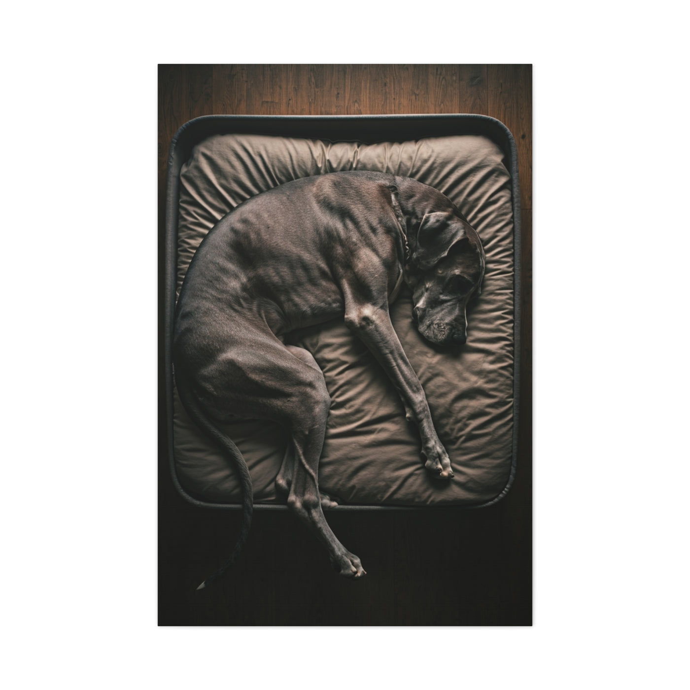 Copy of Copy of Copy of Copy of Copy of Copy of Copy of Copy of Copy of Copy of Copy of Copy of Copy of Copy of Copy of Copy of Copy of Copy of Copy of Copy of Copy of Copy of Copy of Matte Canvas,...