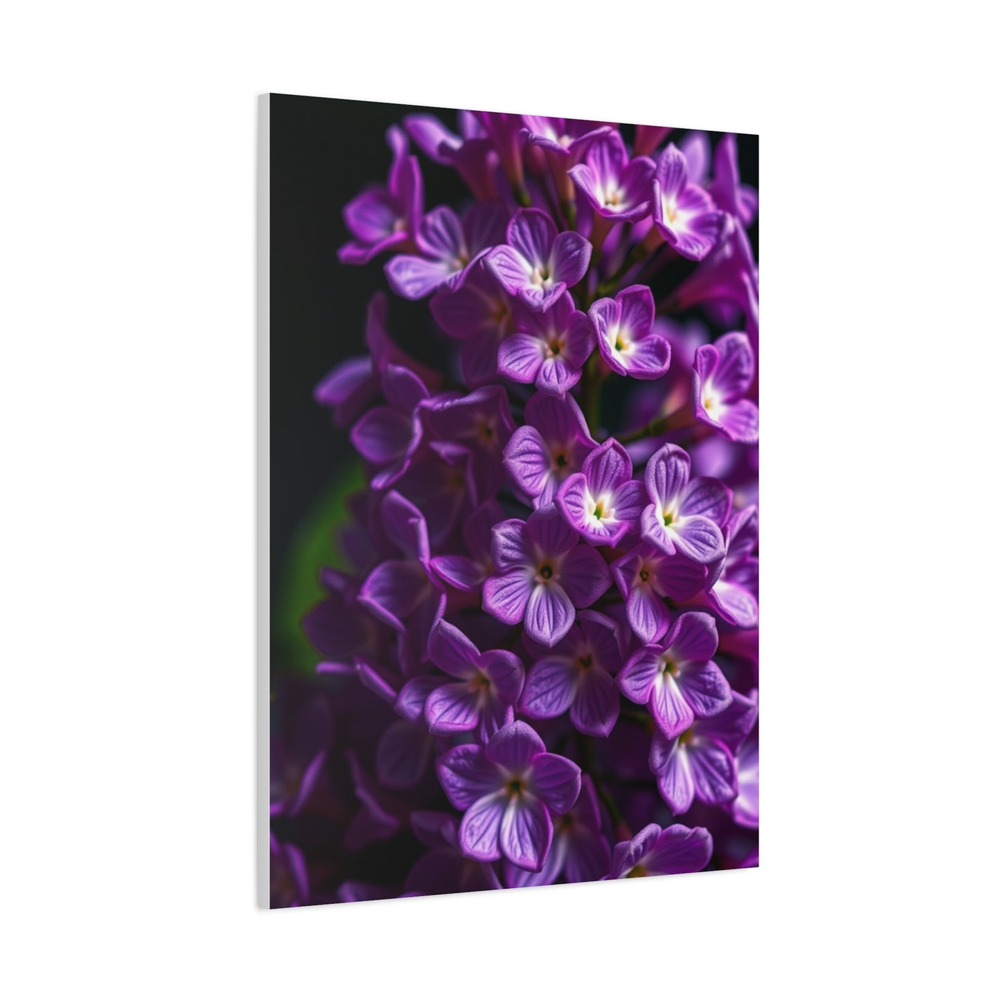 Masterpiece Lilac Flower Art Vision Wall Art & Canvas Print
