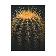Sunset Crown Cactus Wall Art & Canvas Prints