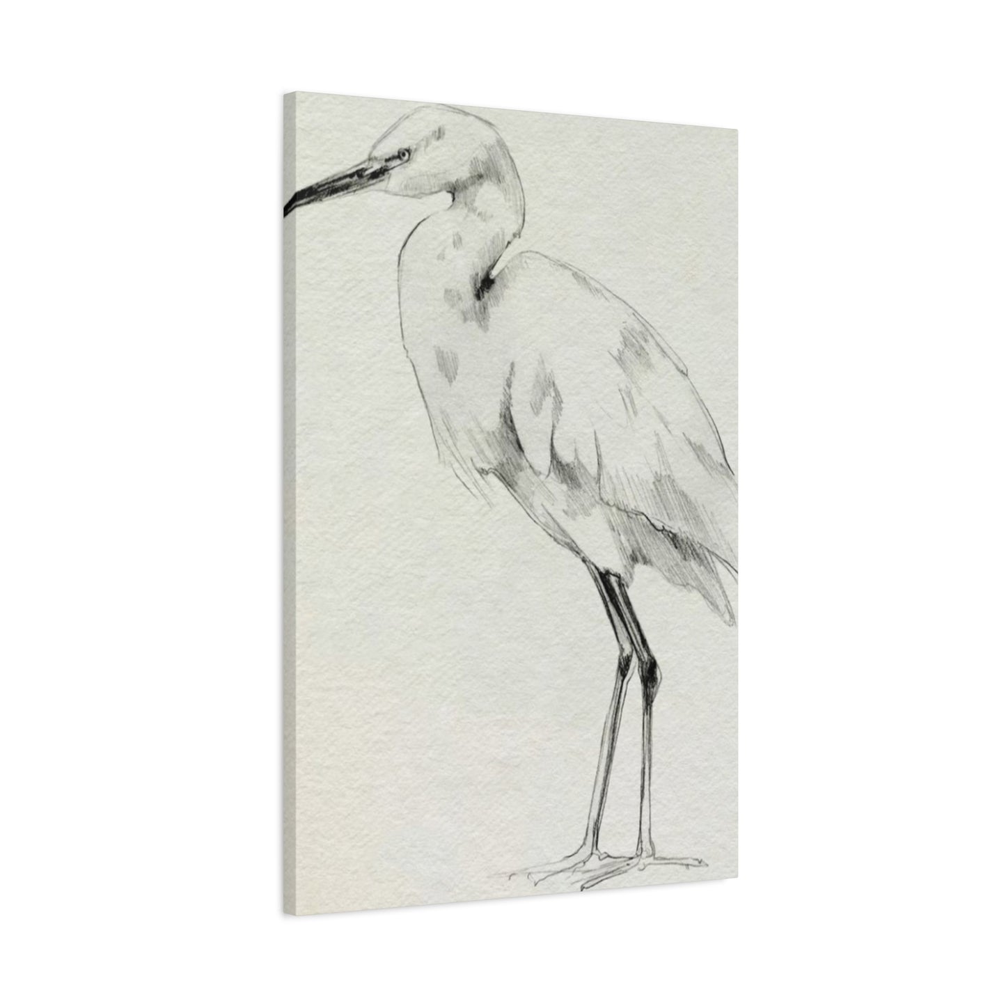 Herons Drawing Wall Art & Canvas Prints