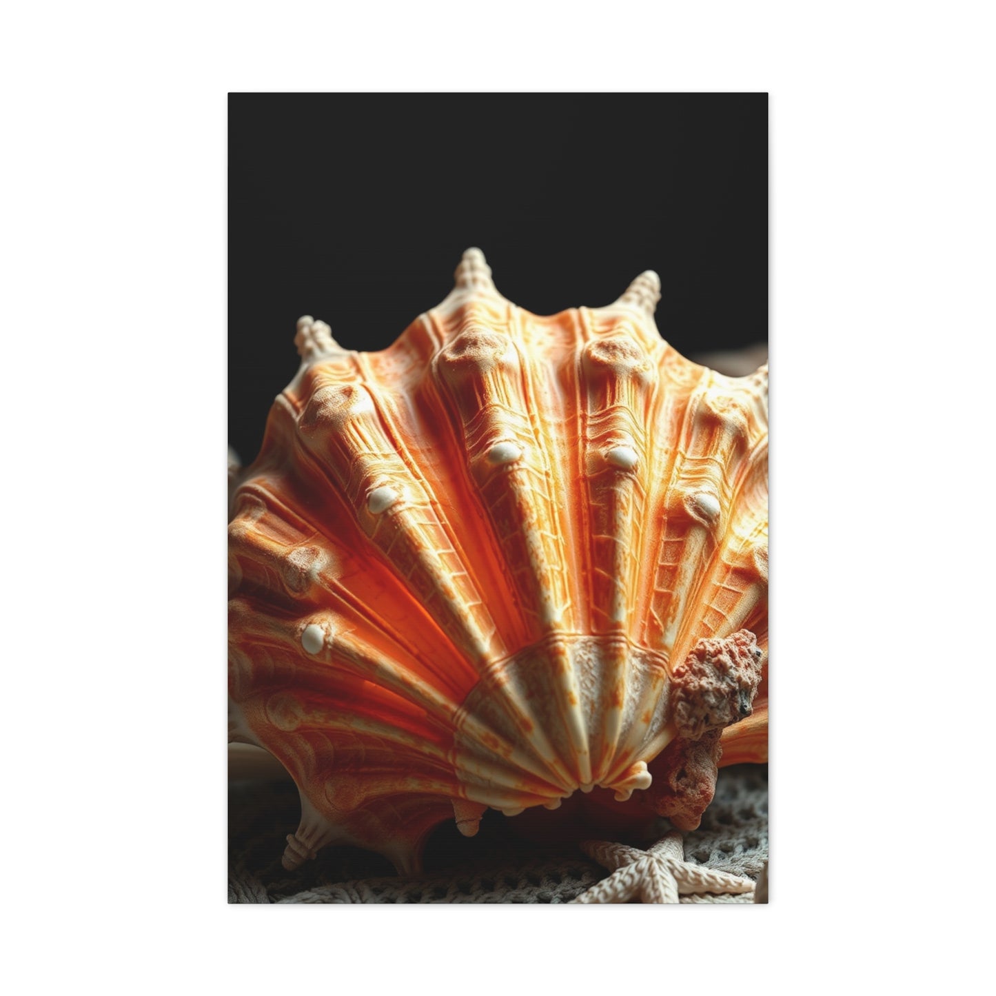 Sea Shell Art Supreme Canvas Wall Art & Canvas Print
