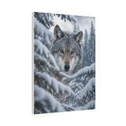 Snow-Covered Pine Wolf Close Portrait Wall Art & Canvas Print