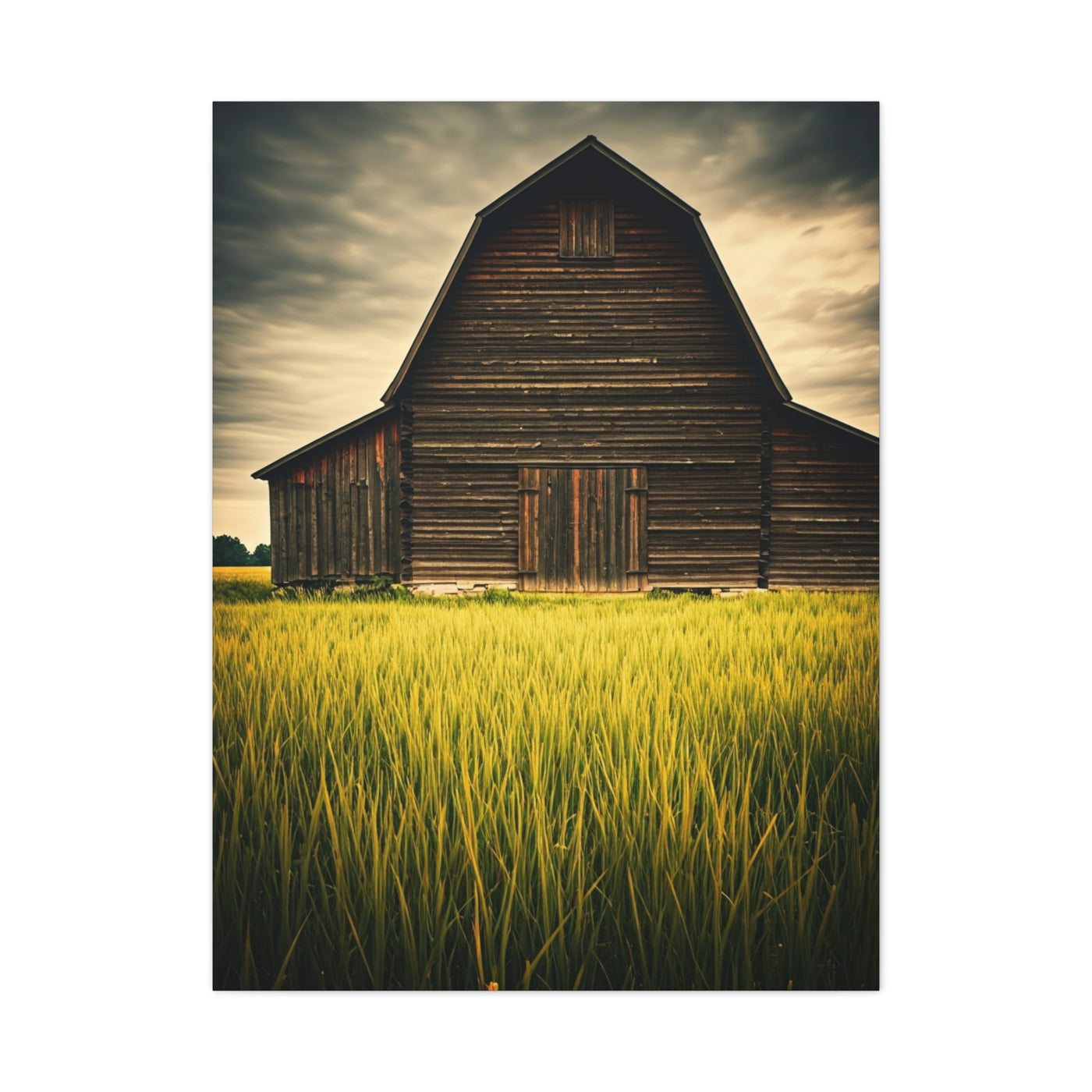 Weathered Barn in Tall Green Fields Wall Art & Canvas Prints