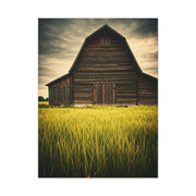 Weathered Barn in Tall Green Fields Wall Art & Canvas Prints
