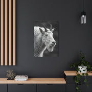Alpine Goat Portrait Wall Art & Canvas Prints