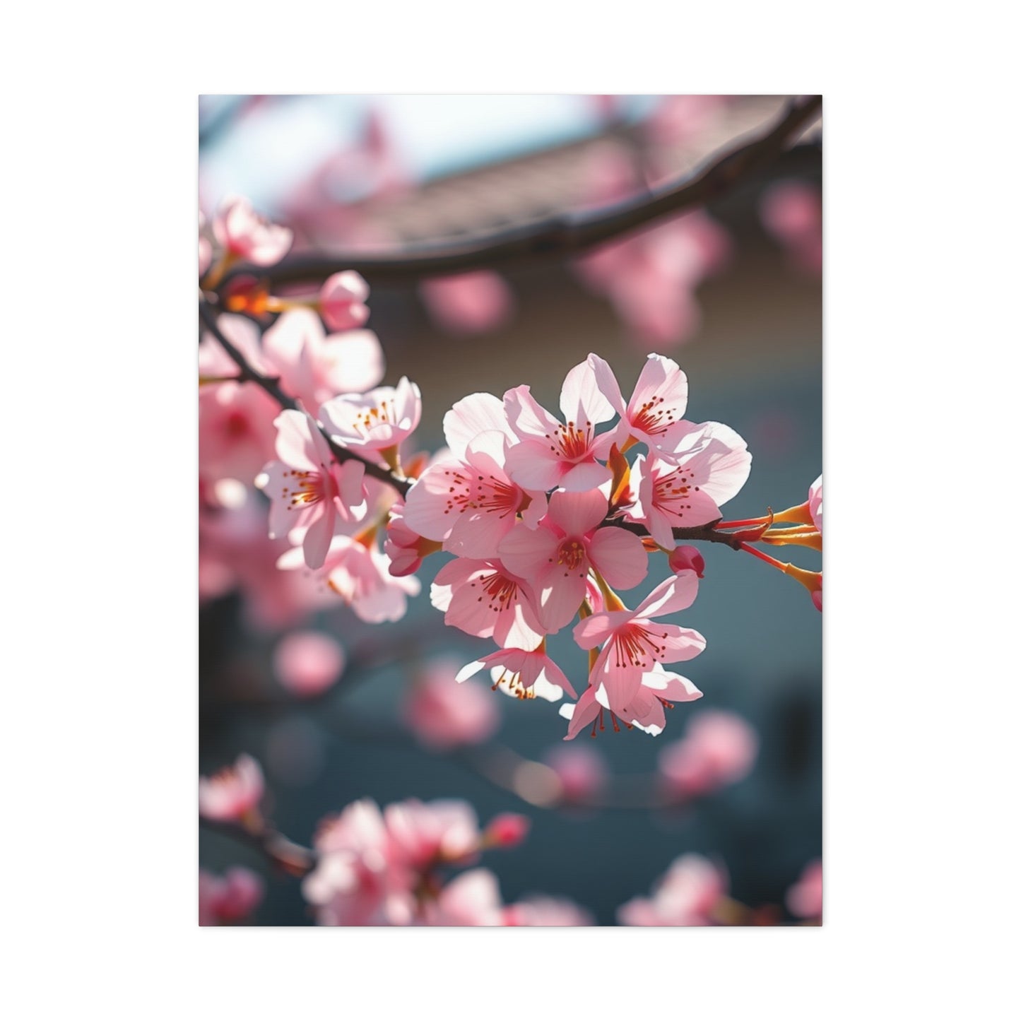 Blossom Reverie Canvas