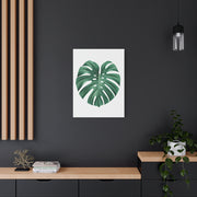 Monstera Leaf Modern Botanical Wall Art & Canvas Prints