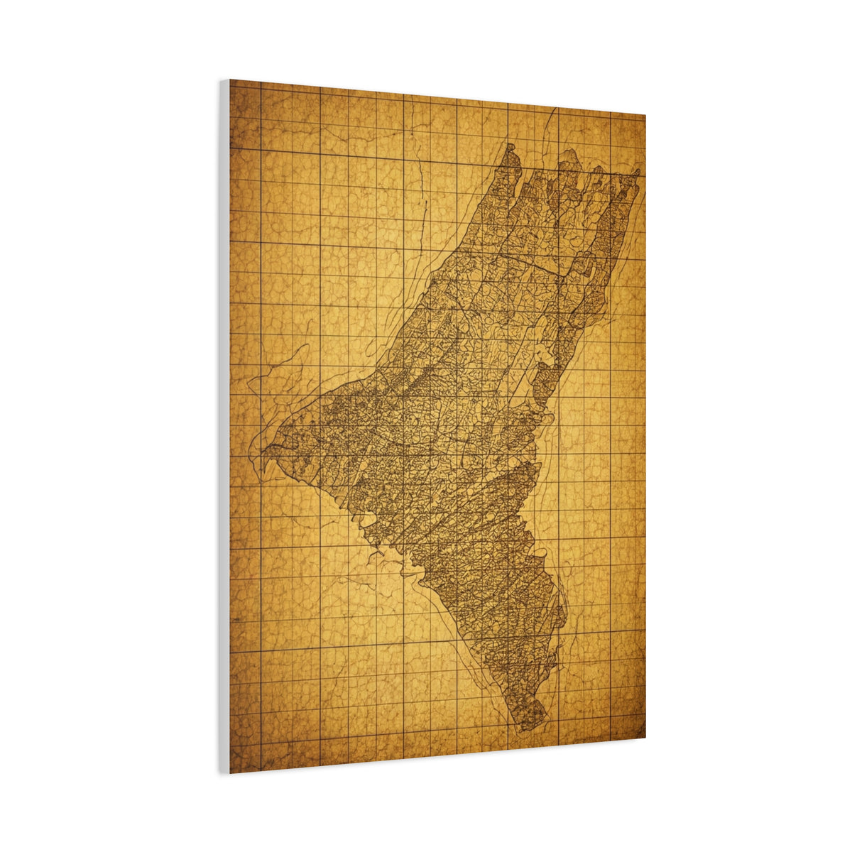 Sepia Gridland Treasure Chart Wall Art & Canvas Prints