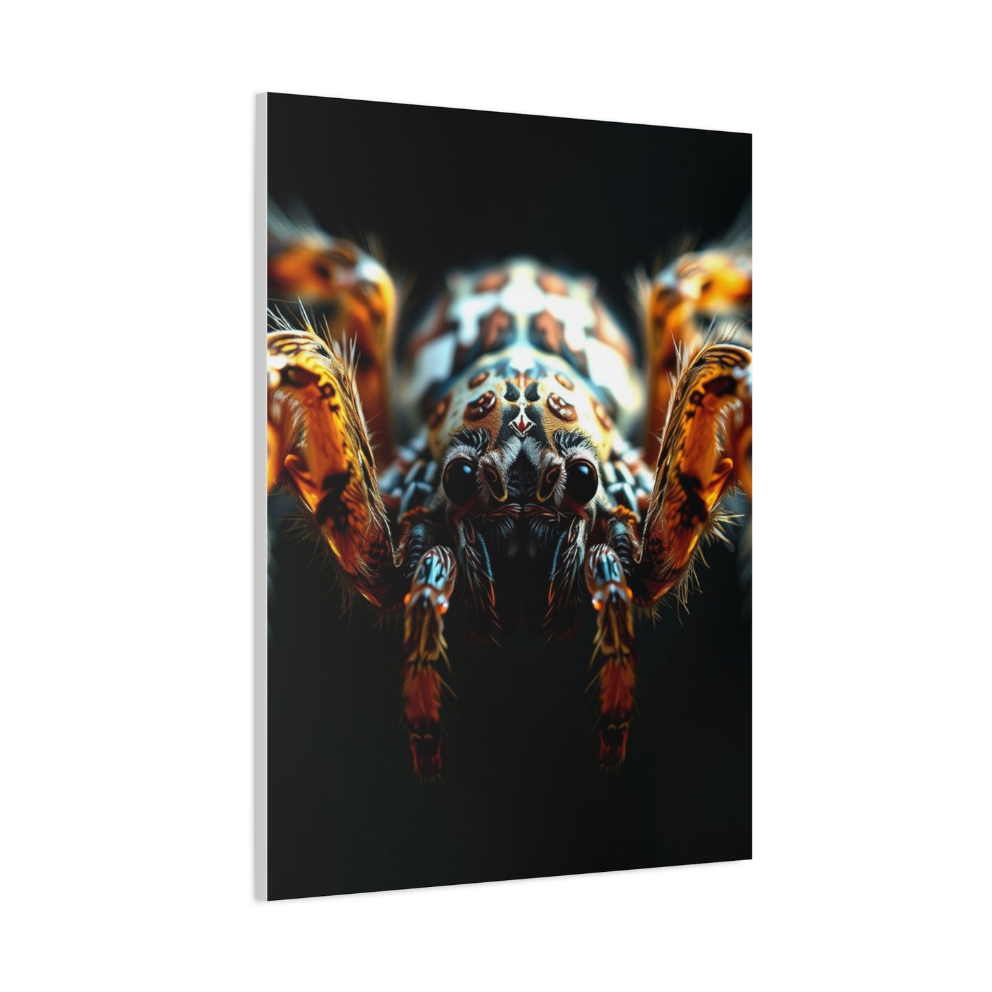 Arachnid Elegance Canvas Wall Art & Canvas Print