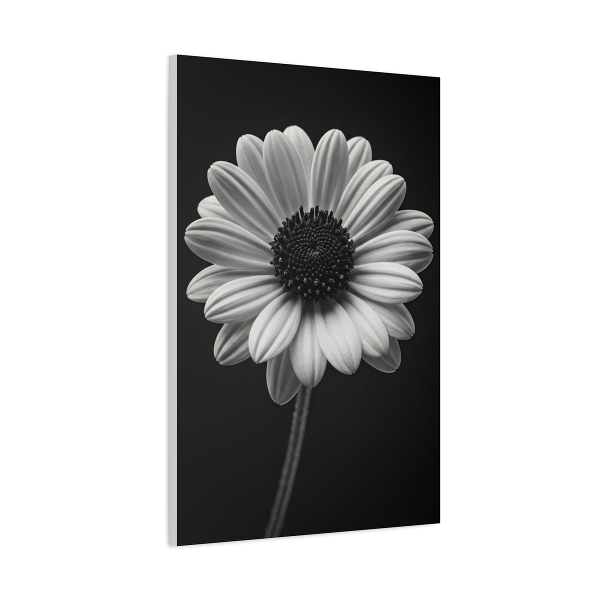 Bold Daisy Contrast Portrait Wall Art & Canvas Prints