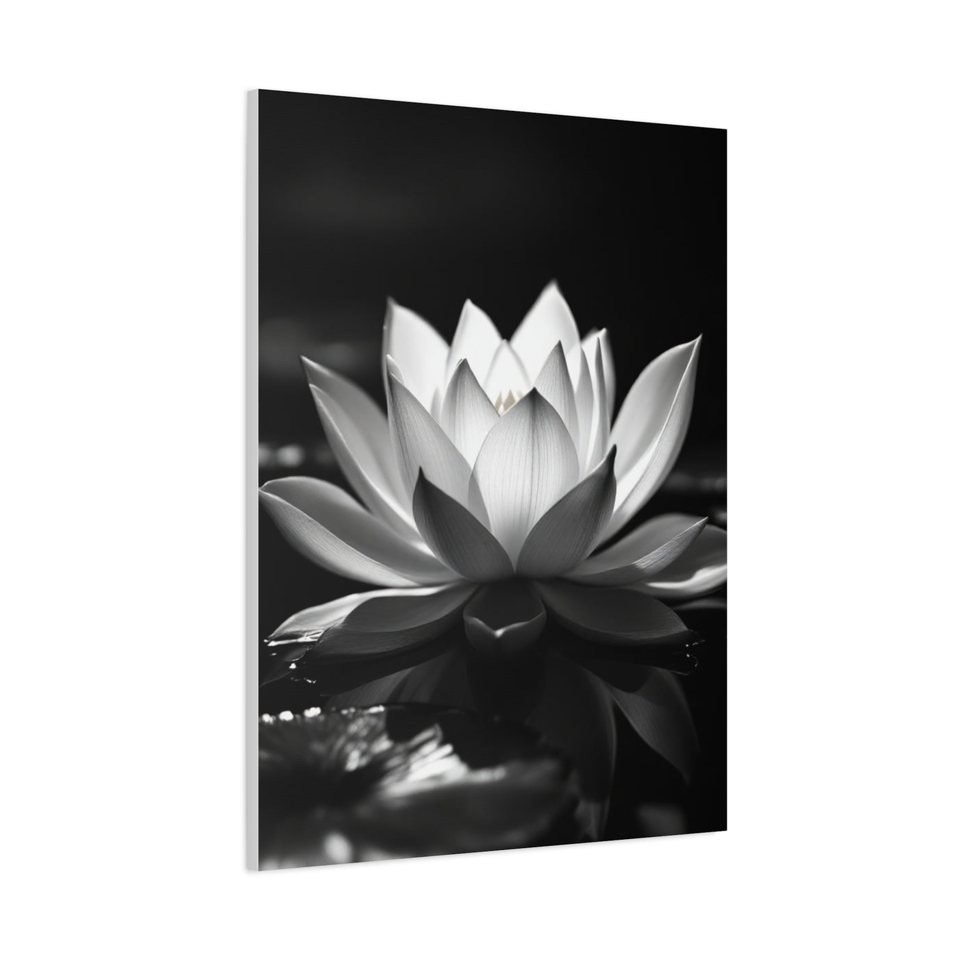 Serene Lotus Reflection Wall Art & Canvas Prints