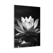 Serene Lotus Reflection Wall Art & Canvas Prints