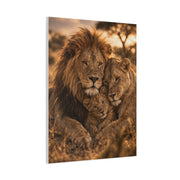 Lion Family Embrace Golden Bond Wall Art & Canvas Print