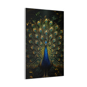 Opulent Jungle Peacock Display Wall Art & Canvas Print