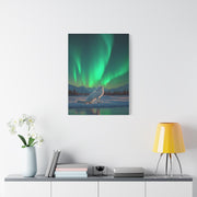 Arctic Fox Aurora Night Wall Art & Canvas Print