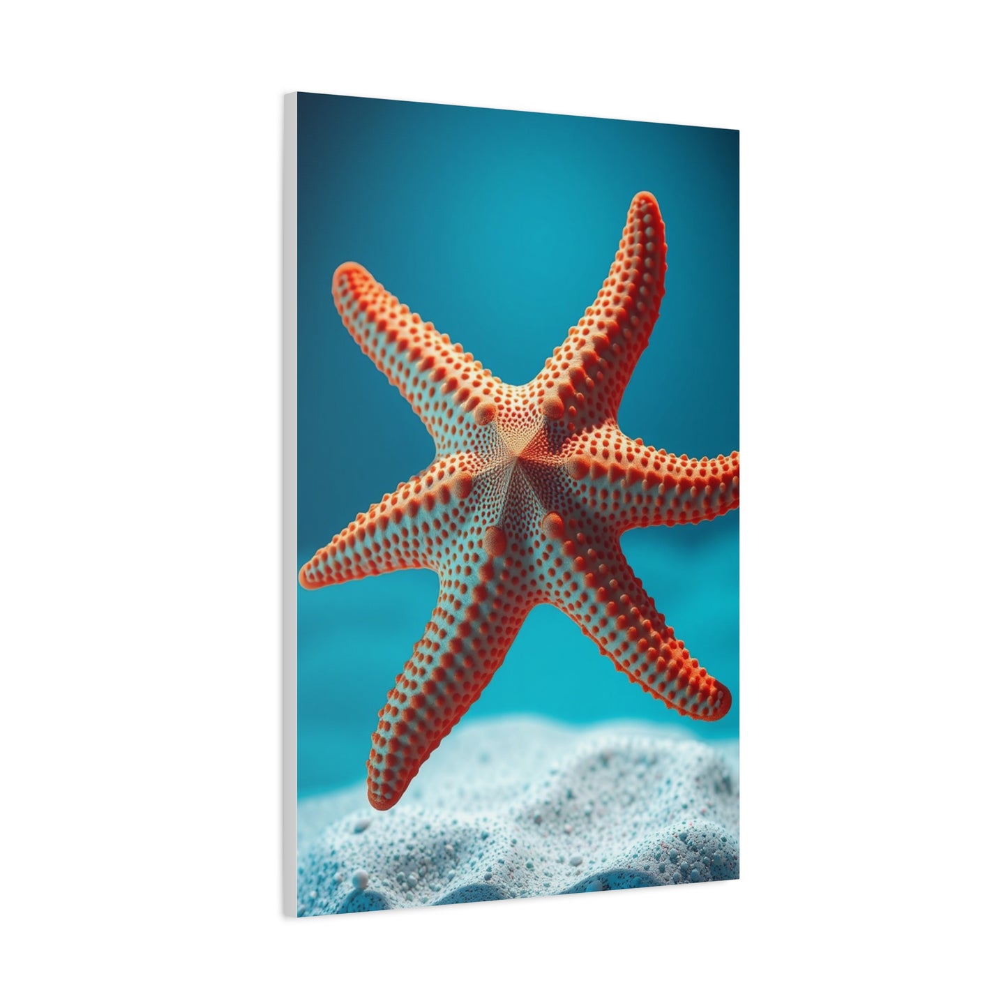 Starfish Art Supreme Canvas Wall Art & Canvas Print