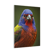 Vibrant Colorburst Sparrow Portrait Wall Art & Canvas Prints