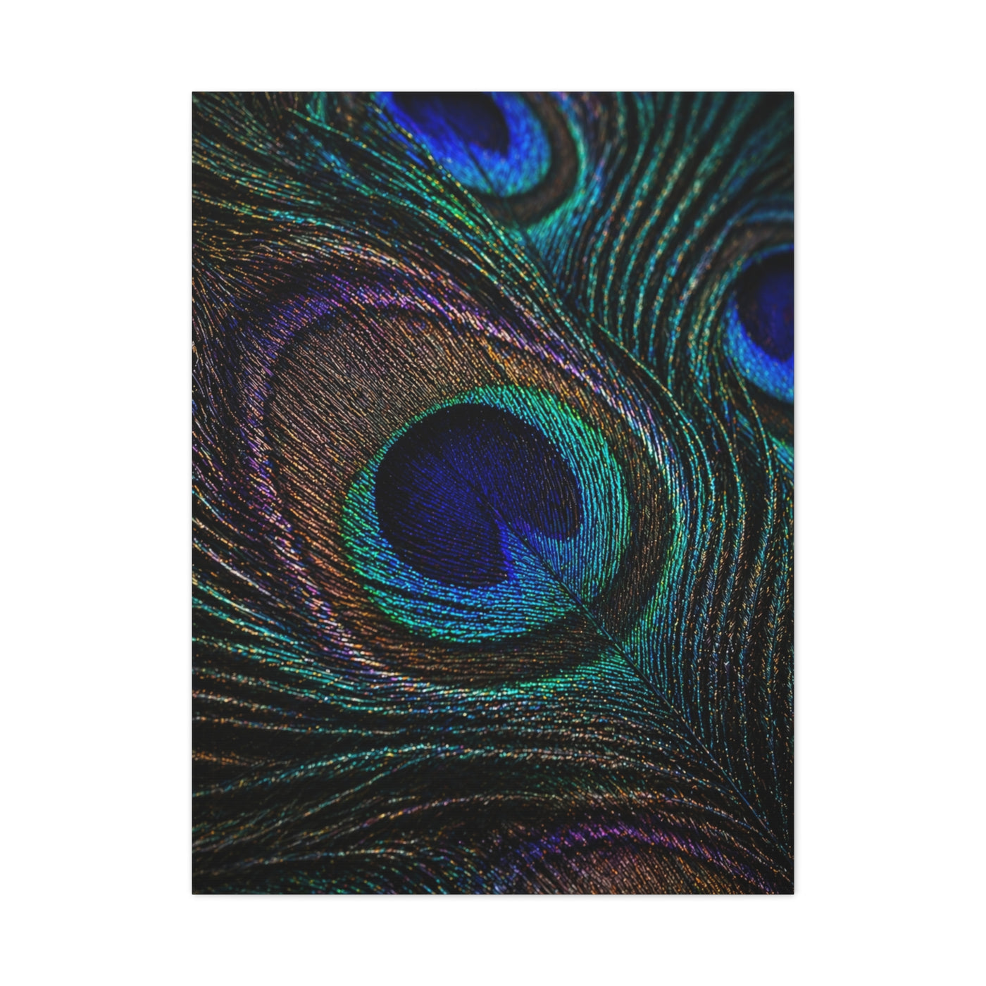 Macro Iridescent Peacock Feather Wall Art & Canvas Print