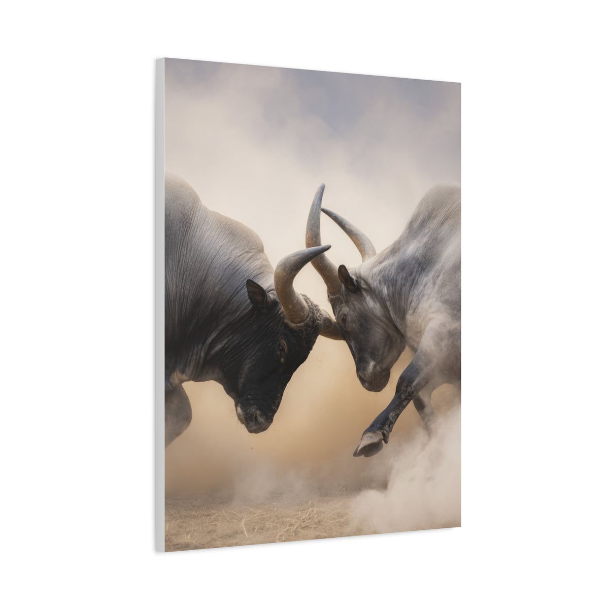 Bulls Clashing Horns Dramatic Wildlife Wall Art & Canvas Print