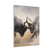 Bulls Clashing Horns Dramatic Wildlife Wall Art & Canvas Print