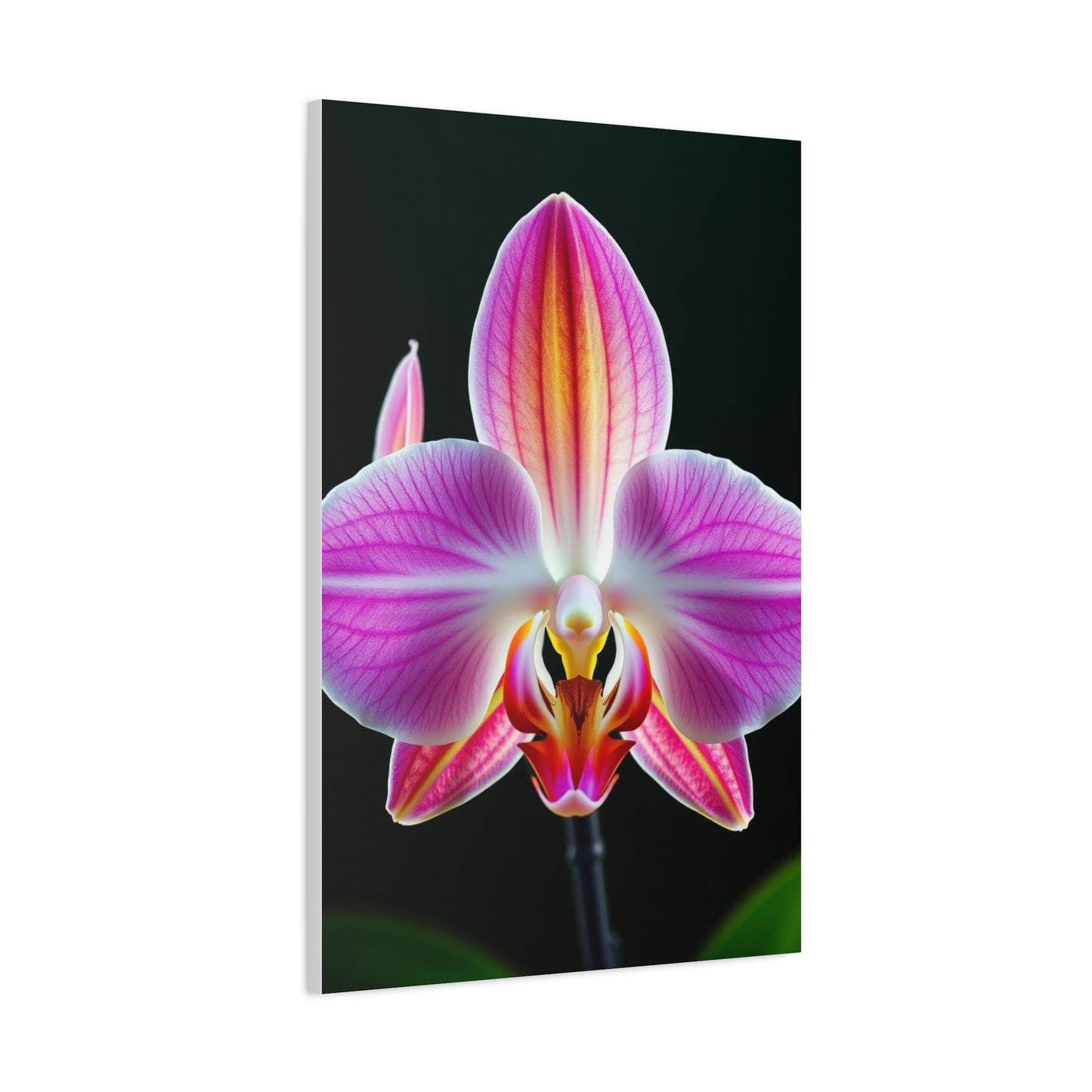 Orchid Flower Art Supreme Canvas Wall Art & Canvas Print