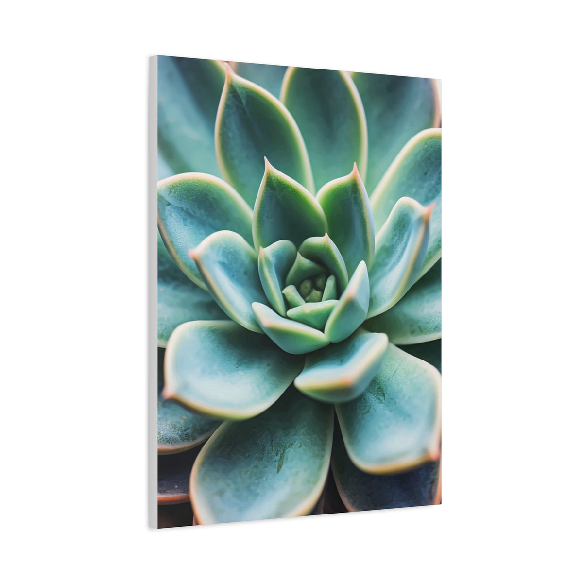 Sage Succulent Bloom Wall Art & Canvas Prints