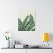 Tropical Banana Leaves Minimal Botanical Wall Art & Canvas Prints