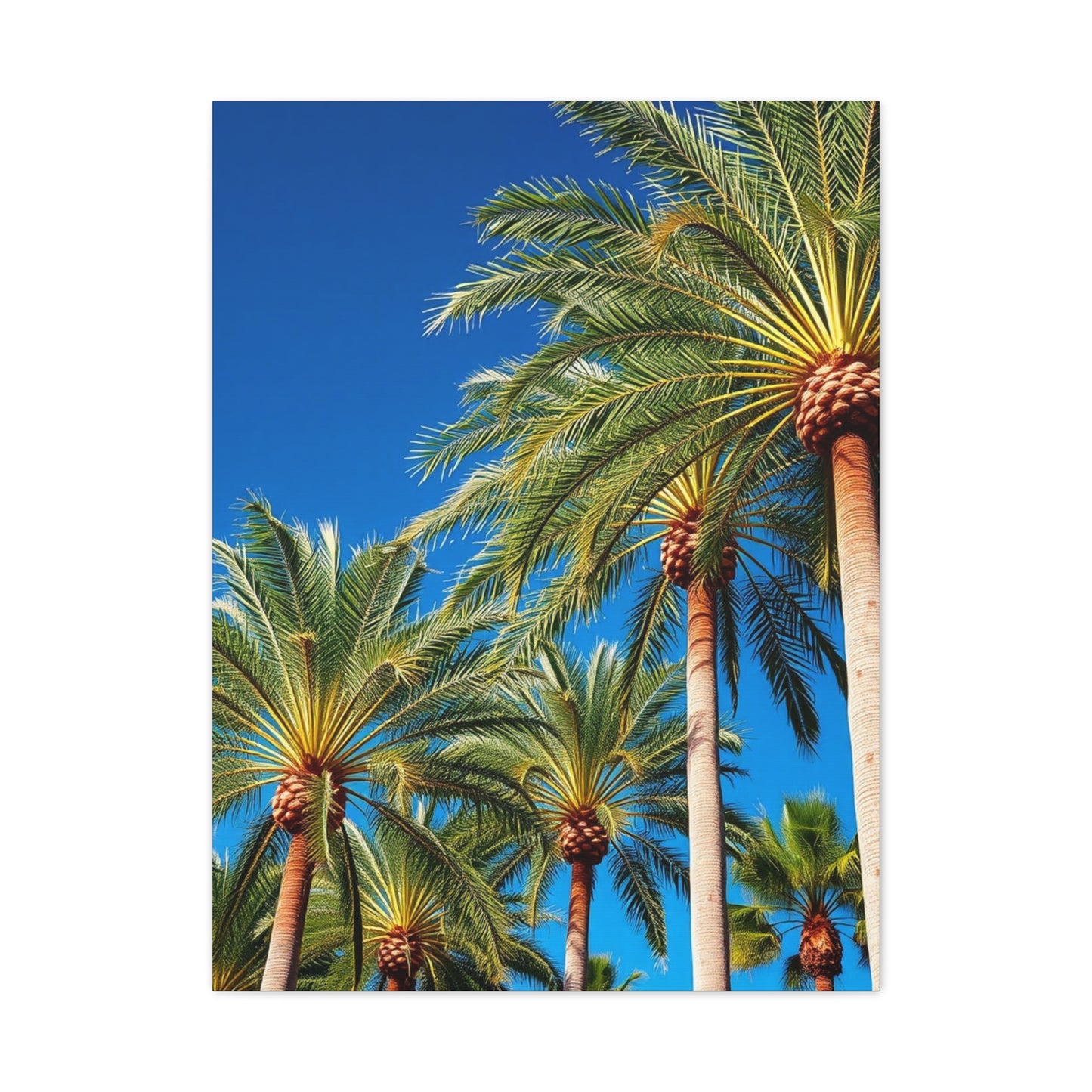 Grand Oasis Wall Art Wall Art & Canvas Print