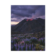 Volcanic Twilight & Wild Lupines Wall Art & Canvas Print