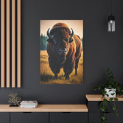 Prairie Bison Walking in Warm Golden Light Wall Art & Canvas Print