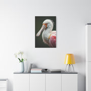 Elegant Pink Pelican Portrait Wall Art & Canvas Prints