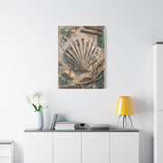 Coastal Shell Relief Composition Wall Art & Canvas Print