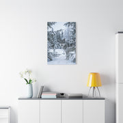 Winter Forest Wolf Natural Encounter Scene Wall Art & Canvas Print