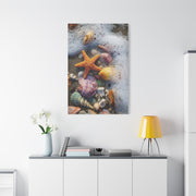 Seashells and Starfish on Ocean Shore Wall Art & Canvas Print