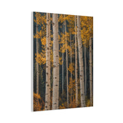 Golden Aspen Forest Autumn Vertical Trees Wall Art & Canvas Print