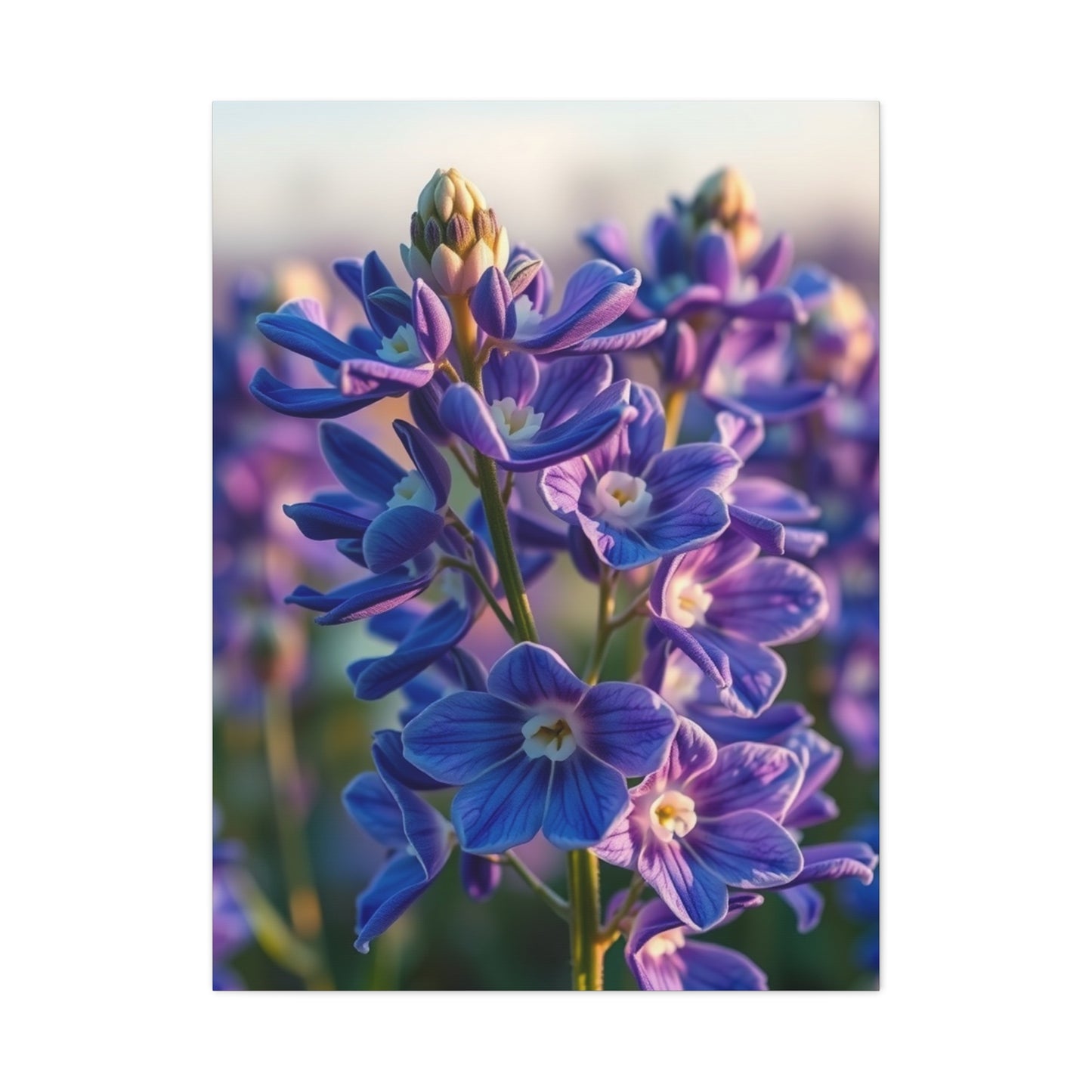 Supreme Collection Bluebonnet Flower Art Wall Art & Canvas Print