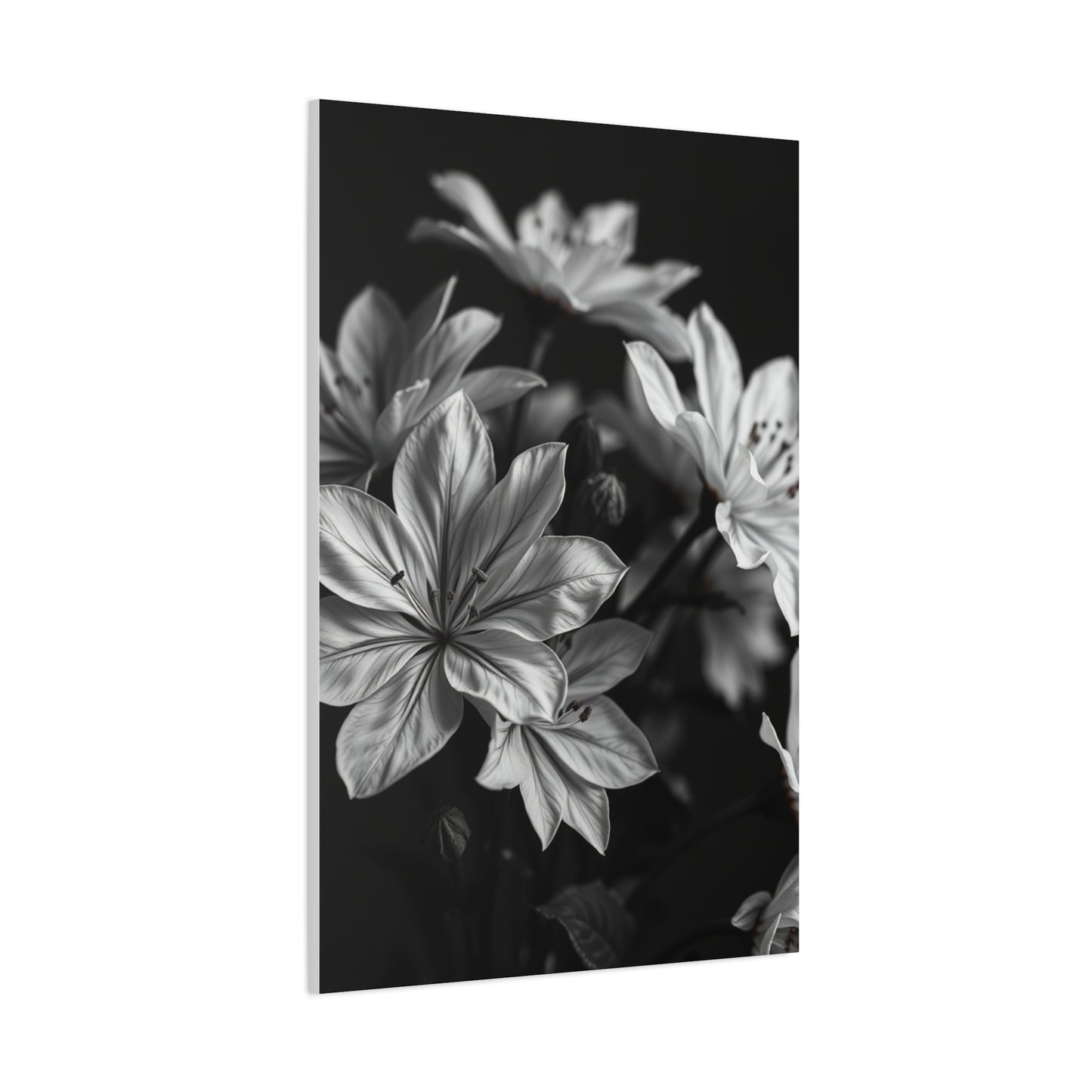 Ebony Whiteness Petal Tableau Wall Art & Canvas Print