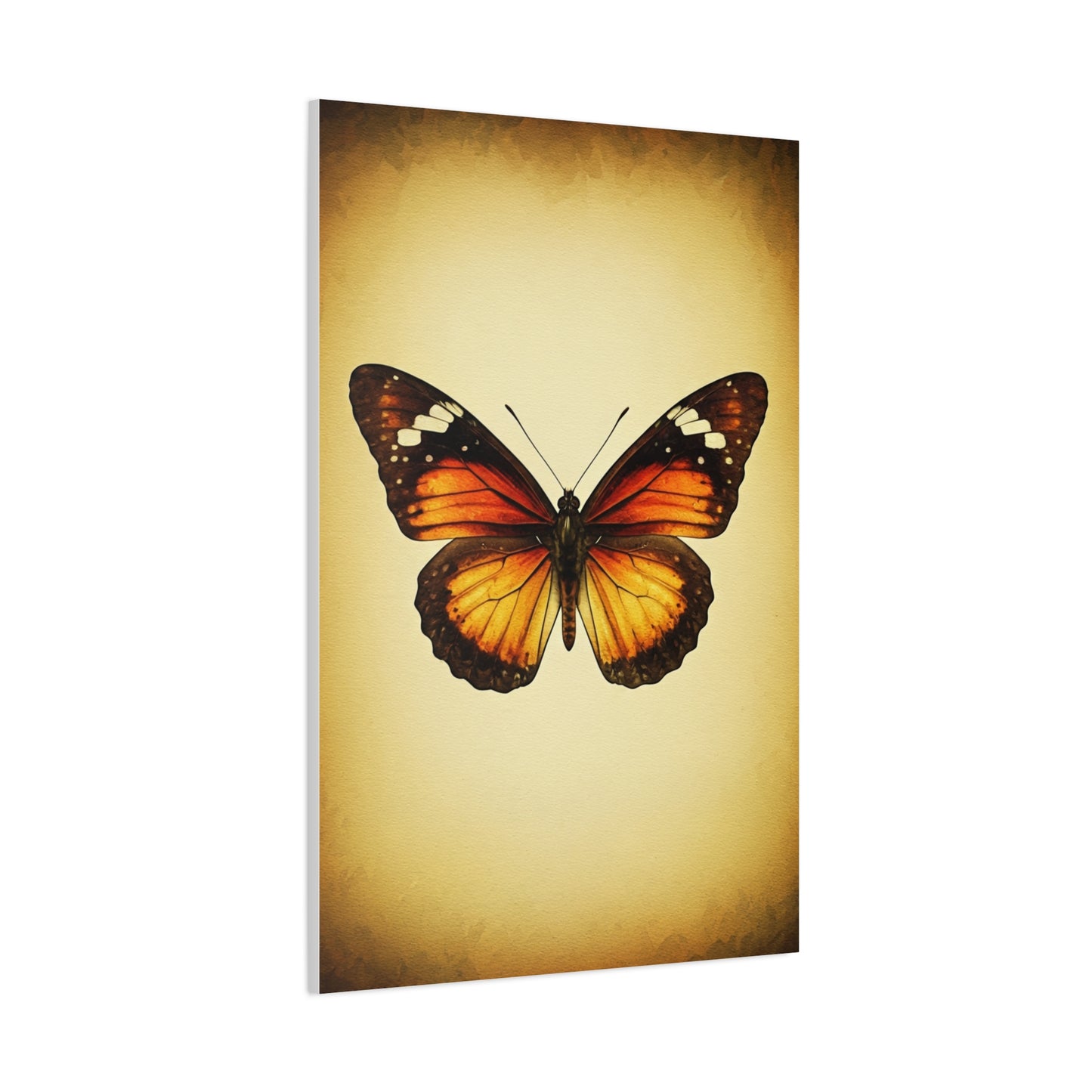 Vintage Monarch Butterfly Illustration Wall Art & Canvas Prints