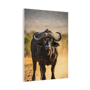 Powerful Buffalo Staring Forward Wall Art & Canvas Prints