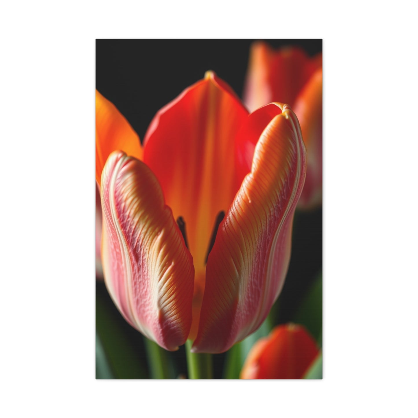 Vision Tulip Flower Art Art Wall Art & Canvas Print