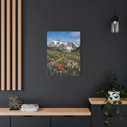 High Alpine Wildflower Meadow Wall Art & Canvas Print