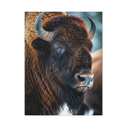 Three-Quarter Angle American Bison with Soft Natural Backdrop Wall Art & Canvas Print