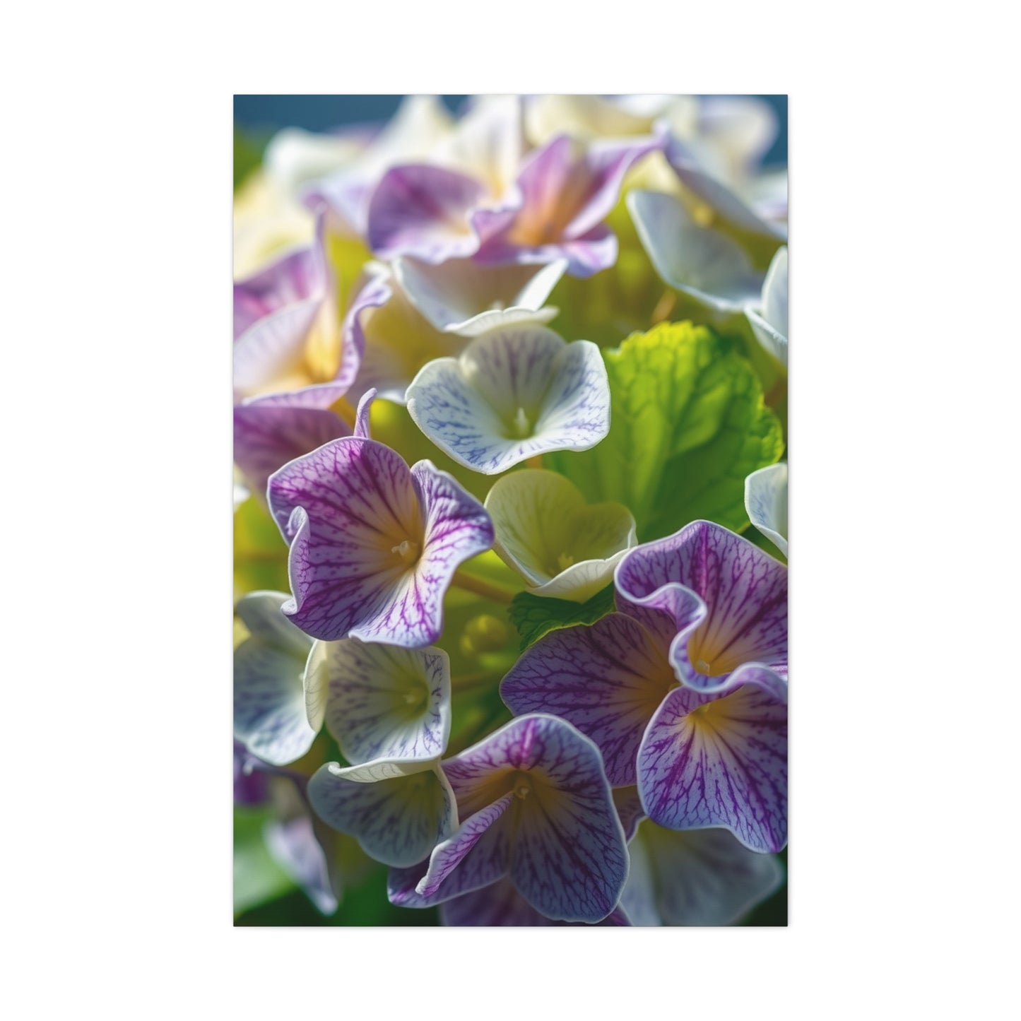 Hydrangea Flower Art Supreme Canvas Wall Art & Canvas Print