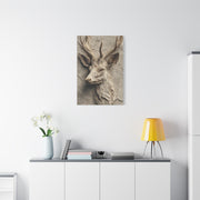 Rustic Stone Deer Relief Wall Art & Canvas Print