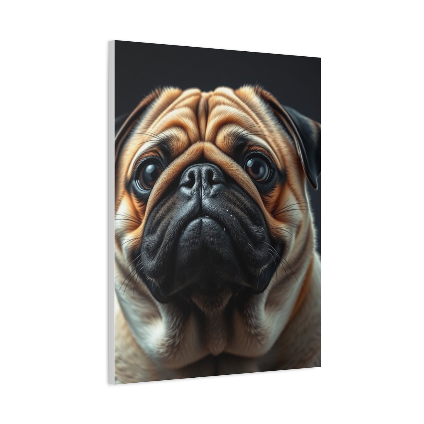 Supreme Pug Art Beautiful Collection Wall Art & Canvas Print