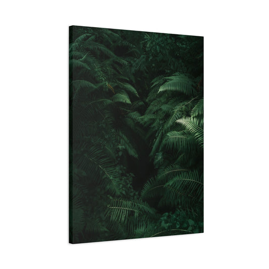 Dark Tropical Forest Wall Art & Canvas Prints