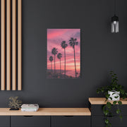 Pink Sunset Palm Coast Wall Art & Canvas Print