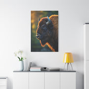 Golden Hour Bison Side Profile Wall Art & Canvas Print