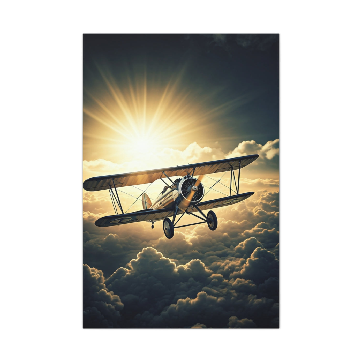 Sunlit Vintage Biplane Flight Wall Art & Canvas Prints